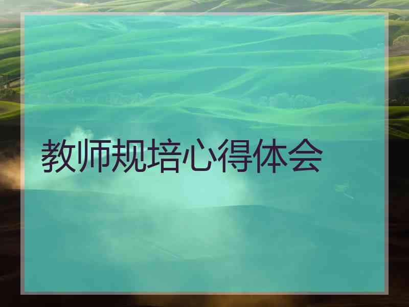 教师规培心得体会