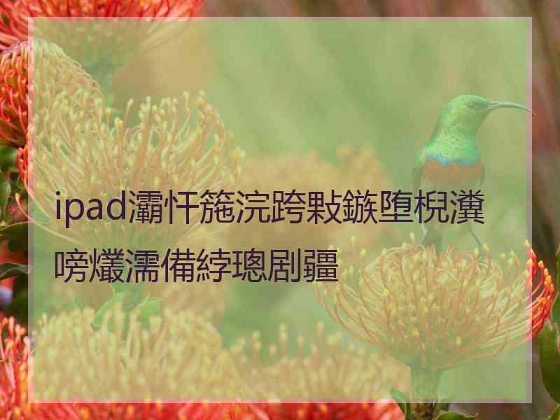 ipad灞忓箷浣跨敤鏃堕棿瀵嗙爜濡備綍璁剧疆