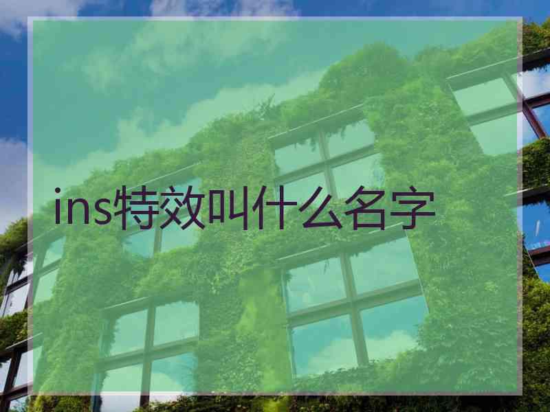 ins特效叫什么名字