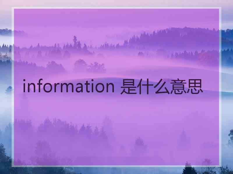 information 是什么意思