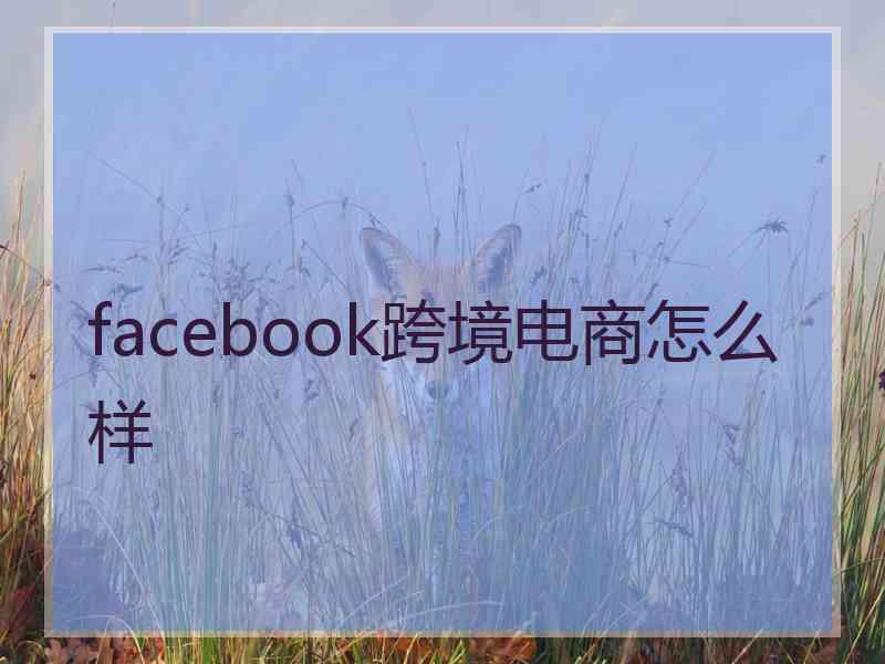 facebook跨境电商怎么样