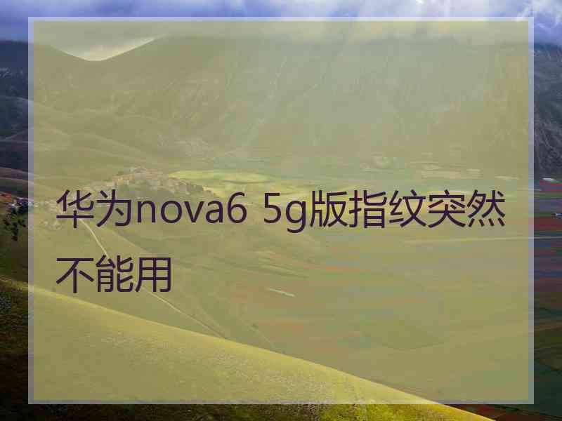 华为nova6 5g版指纹突然不能用