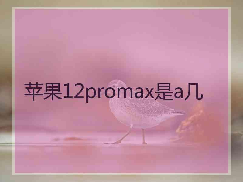 苹果12promax是a几