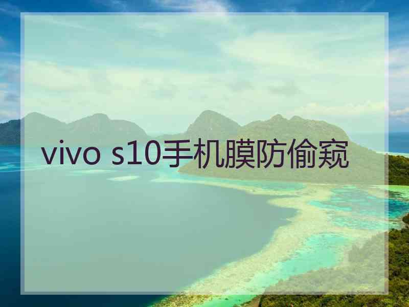 vivo s10手机膜防偷窥