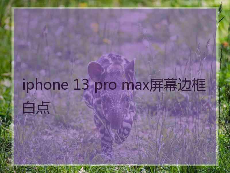 iphone 13 pro max屏幕边框白点