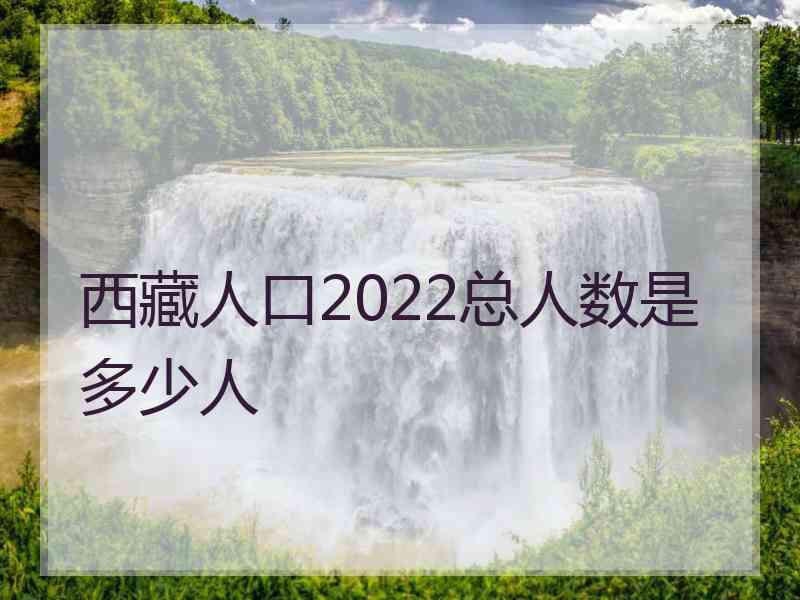 西藏人口2022总人数是多少人