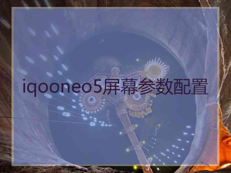 iqooneo5屏幕参数配置