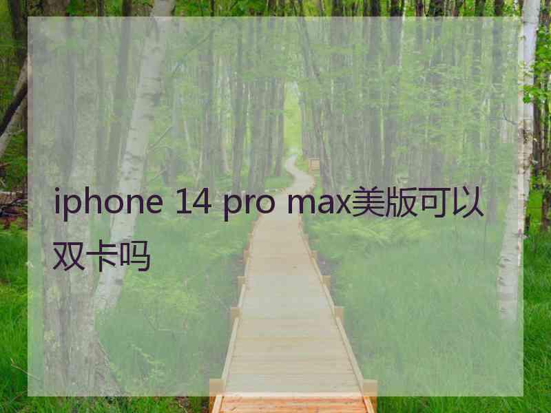 iphone 14 pro max美版可以双卡吗