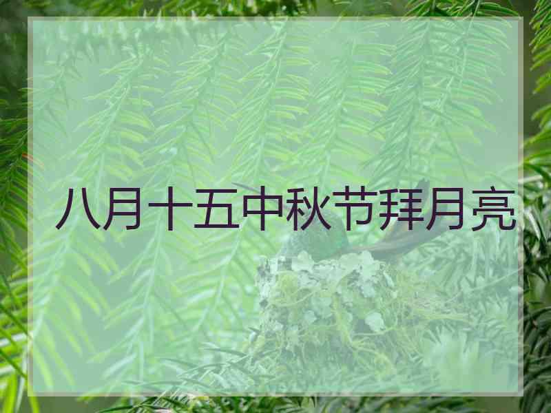 八月十五中秋节拜月亮