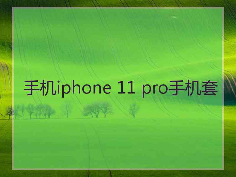 手机iphone 11 pro手机套