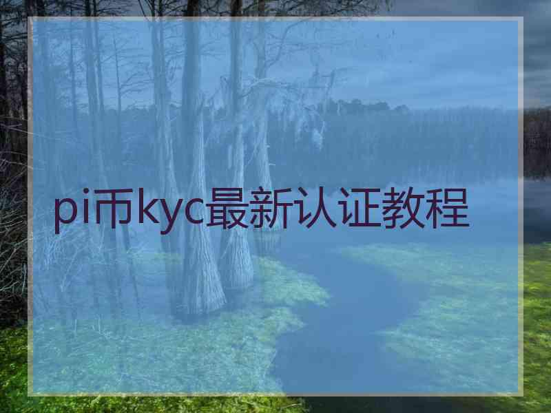 pi币kyc最新认证教程