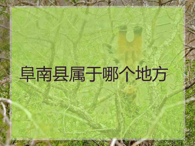 阜南县属于哪个地方