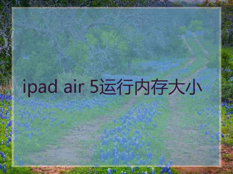 ipad air 5运行内存大小