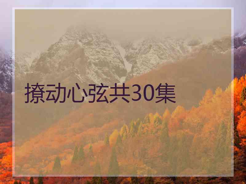 撩动心弦共30集