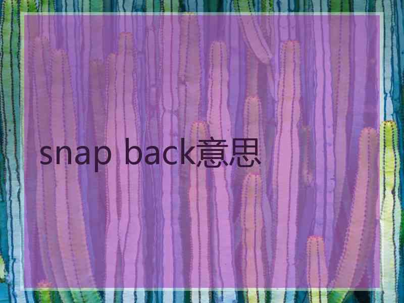 snap back意思