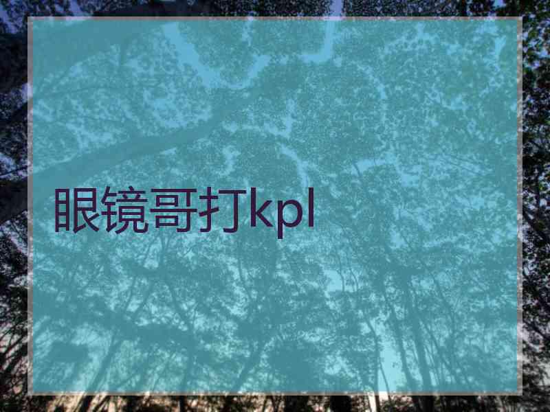 眼镜哥打kpl