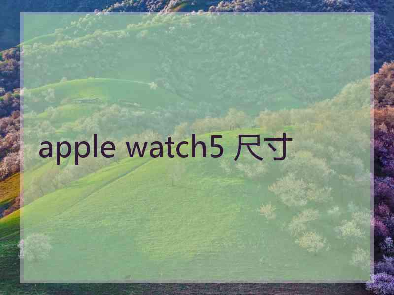 apple watch5 尺寸