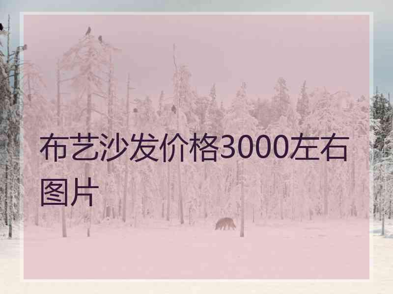 布艺沙发价格3000左右图片