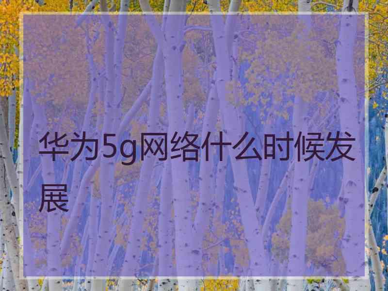 华为5g网络什么时候发展