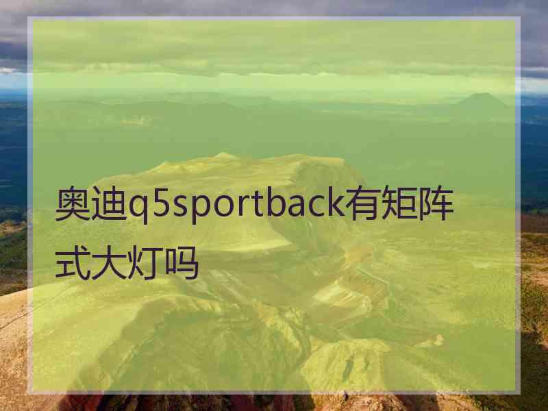 奥迪q5sportback有矩阵式大灯吗