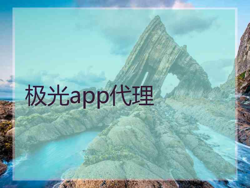 极光app代理