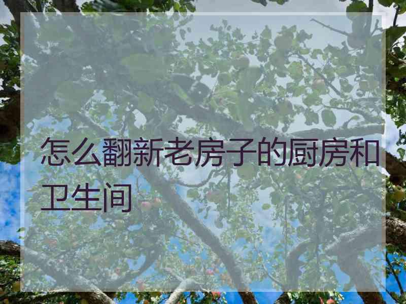 怎么翻新老房子的厨房和卫生间