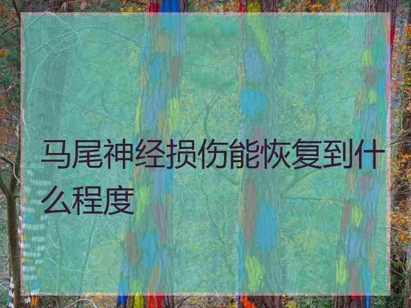 马尾神经损伤能恢复到什么程度