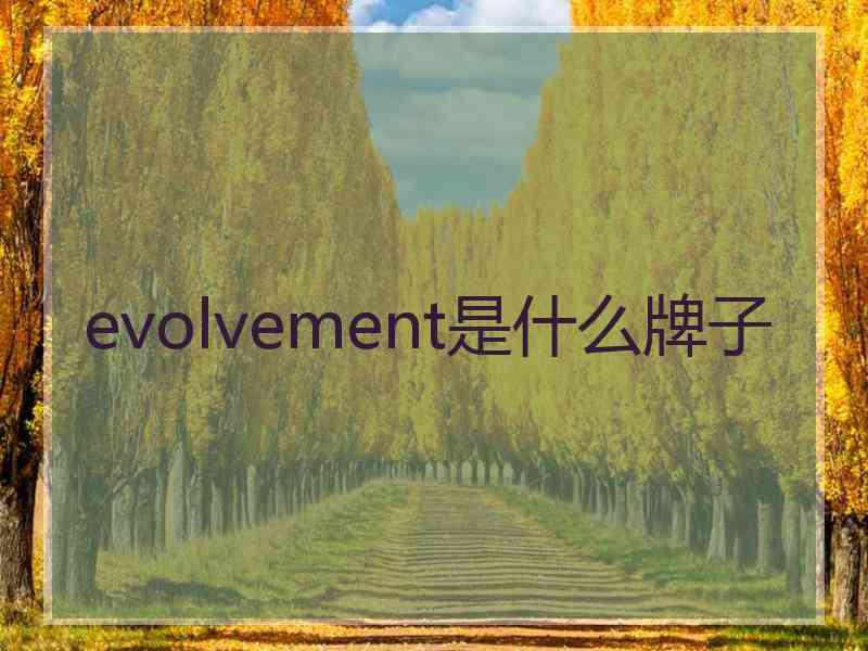 evolvement是什么牌子