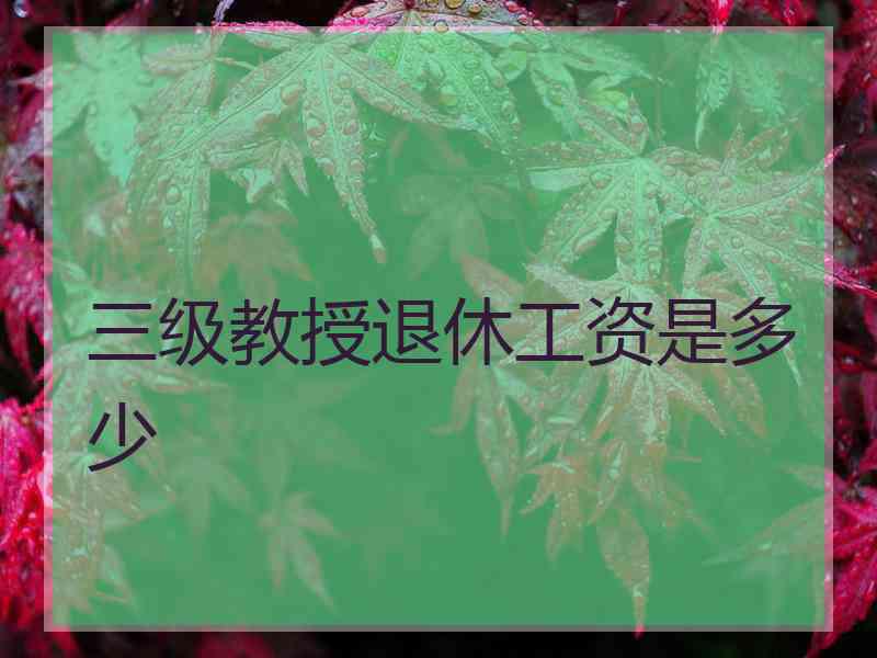 三级教授退休工资是多少