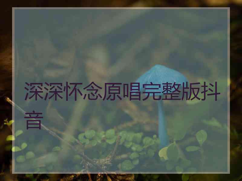 深深怀念原唱完整版抖音