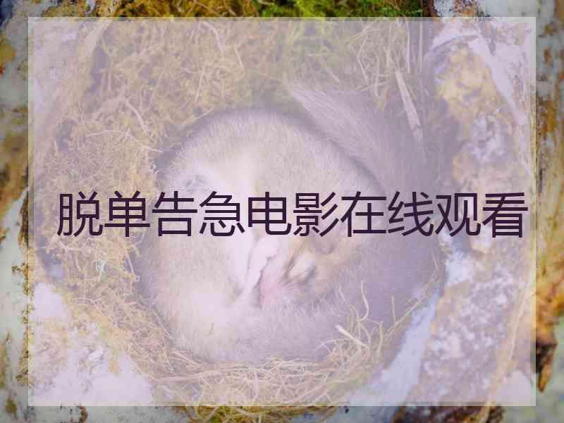 脱单告急电影在线观看