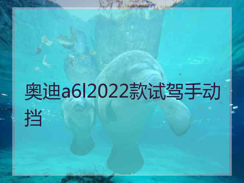 奥迪a6l2022款试驾手动挡