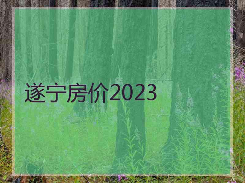 遂宁房价2023