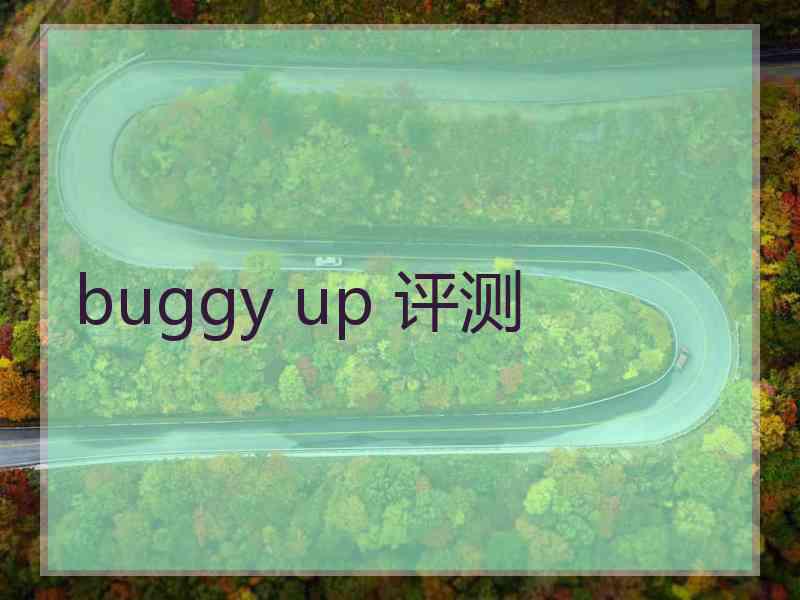 buggy up 评测