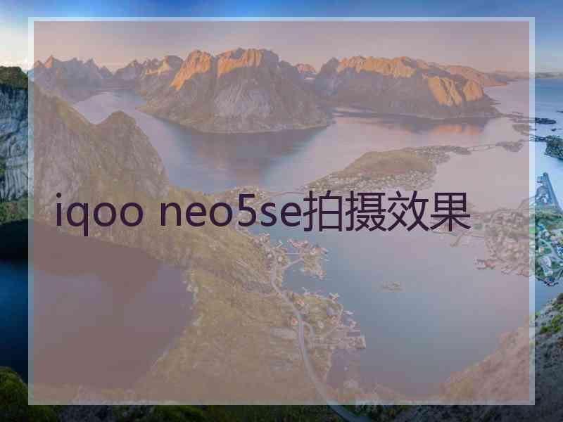 iqoo neo5se拍摄效果