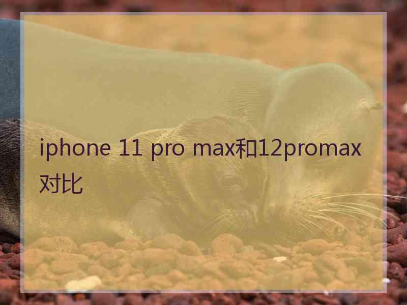 iphone 11 pro max和12promax对比