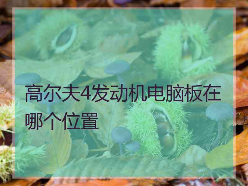 高尔夫4发动机电脑板在哪个位置