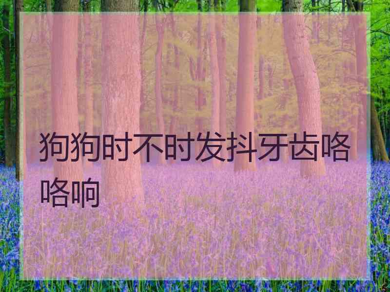 狗狗时不时发抖牙齿咯咯响