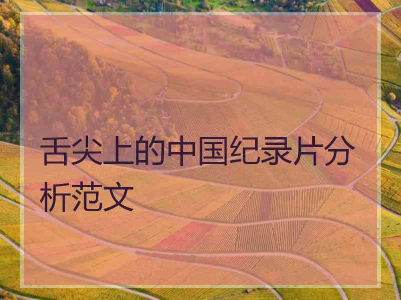 舌尖上的中国纪录片分析范文