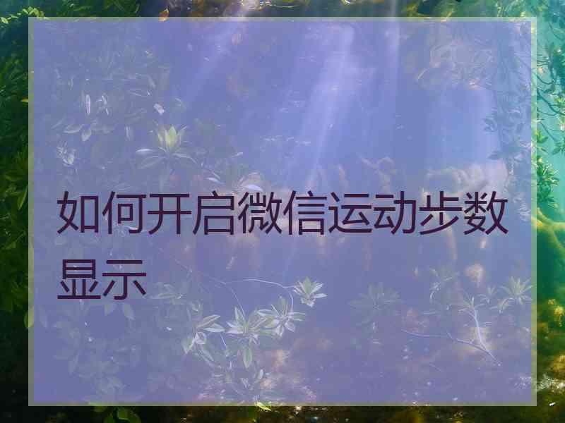 如何开启微信运动步数显示