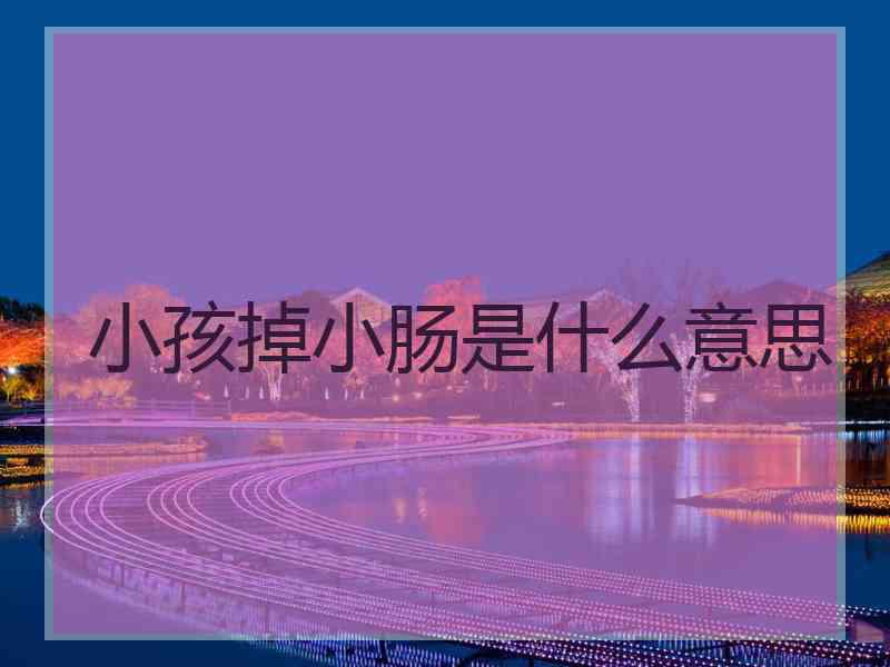 小孩掉小肠是什么意思