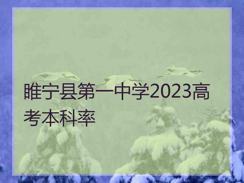 睢宁县第一中学2023高考本科率