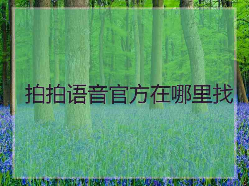 拍拍语音官方在哪里找