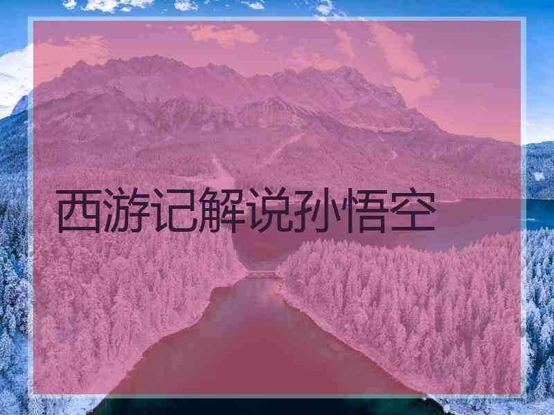 西游记解说孙悟空