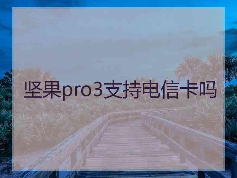 坚果pro3支持电信卡吗