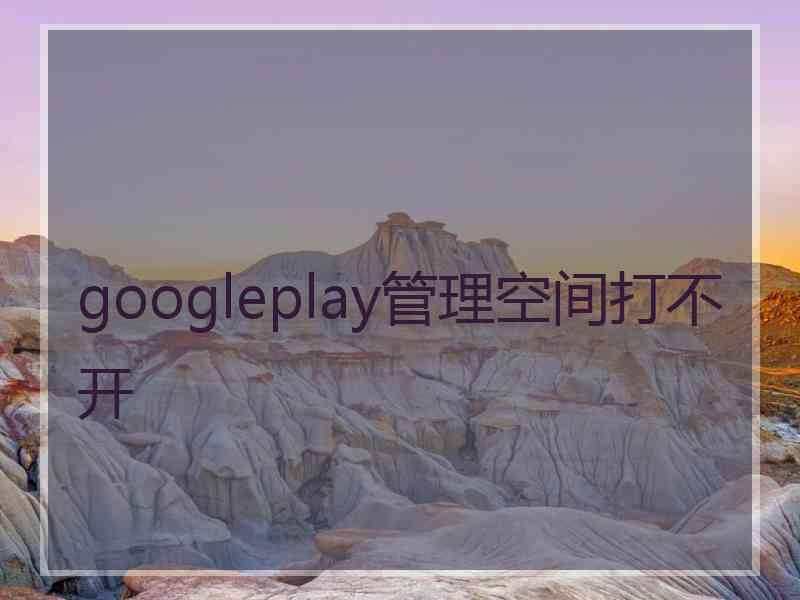 googleplay管理空间打不开