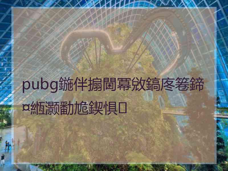 pubg鍦伴搧閫冪敓鎬庝箞鍗¤緪灏勫尯鍥惧