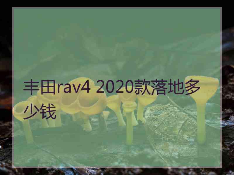 丰田rav4 2020款落地多少钱