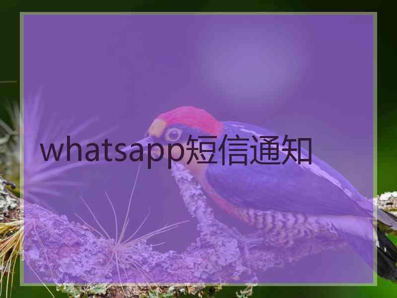 whatsapp短信通知