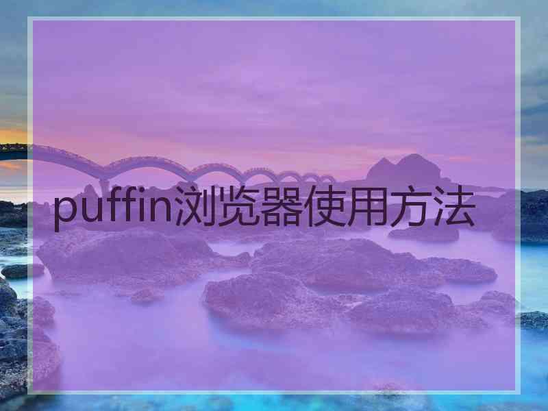 puffin浏览器使用方法